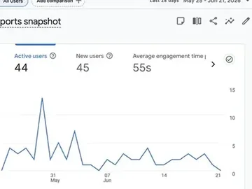 Google Analytics traffic report — visitor data small businesses never see